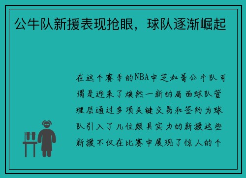 公牛队新援表现抢眼，球队逐渐崛起